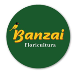 Eficiencia Contabil
